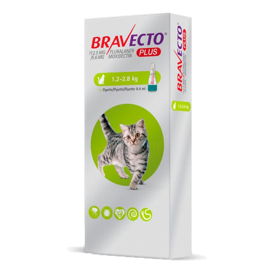 Bravecto Plus - Pipeta Antipulgas Para Gato (1.2Kg a 2.8Kg)